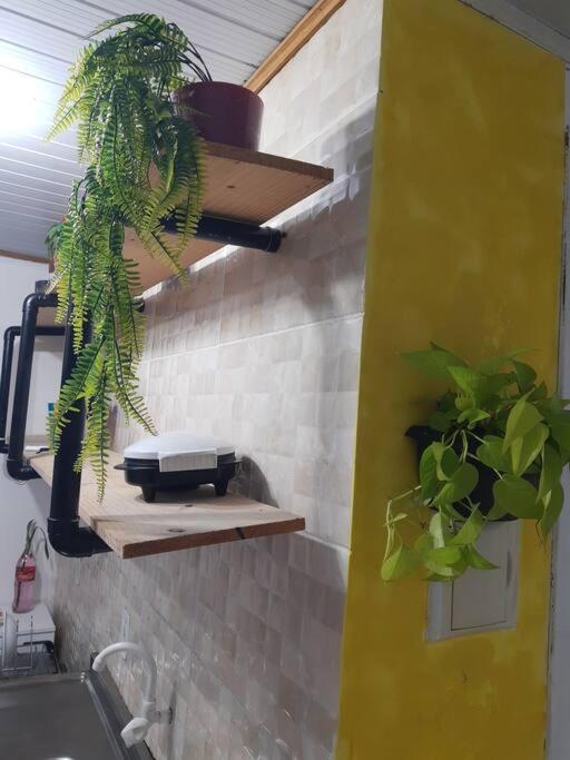 Townhousefloripa I Praia Do Mocambique Riovermelho Florianópolis 외부 사진