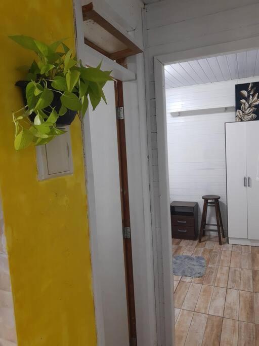 Townhousefloripa I Praia Do Mocambique Riovermelho Florianópolis 외부 사진